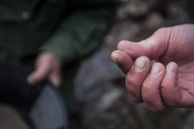 Gold Prospecting in Casper